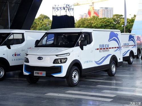 拣尽寒枝不肯栖 寂寞沙洲冷赏析