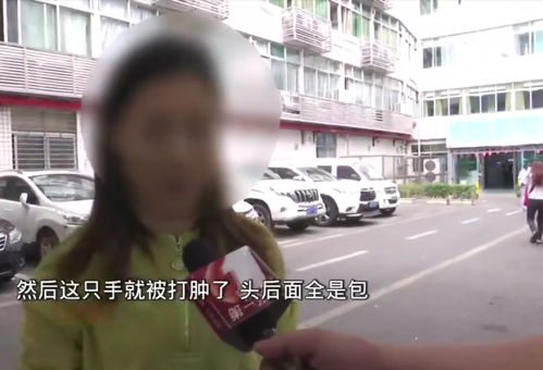 全国首届交通运输优秀文化品牌推选揭晓