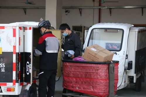 物流信息部是怎样运营的 我想办一个物流信息部请专家给我一点主张 物流信息部是怎样运营的 我想办一个物流信息部请专家给我一点主张