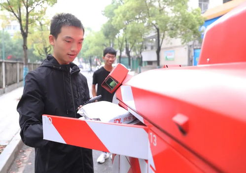 双十一15亿快件引物流对决 拼网络 拼速度 拼服