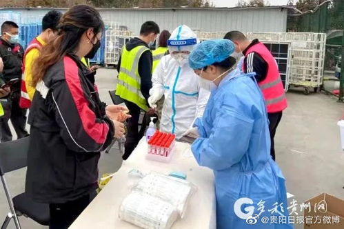 我国的快递有哪些 各有什么优缺点