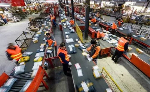 复婚前规则 复婚前规则40集