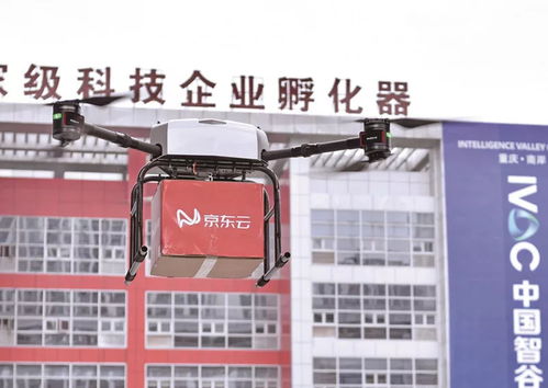 快递涉嫌协助海淘造假 引消费者声讨