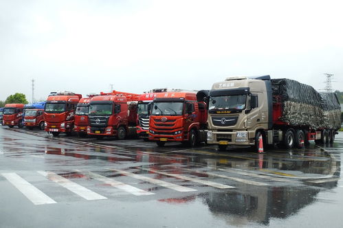 陕西首条链接一带一路沿线国家的第五航权货运航线开通