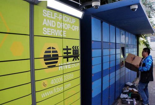 顺丰宠物托运在哪下单