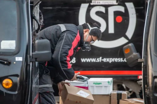 韵达速递查询单号速 韵达速递查询单号速