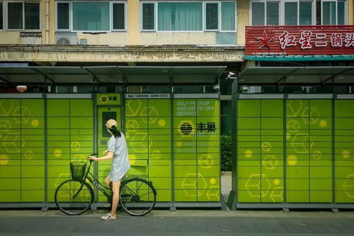 德邦物流单号查不到