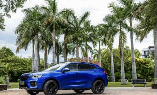 中国物流集团的发展前景