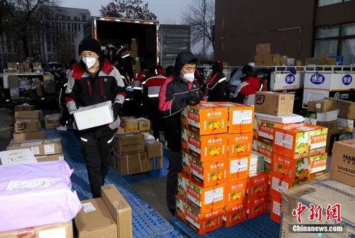 物流专业就业方向 物流专业就业方向