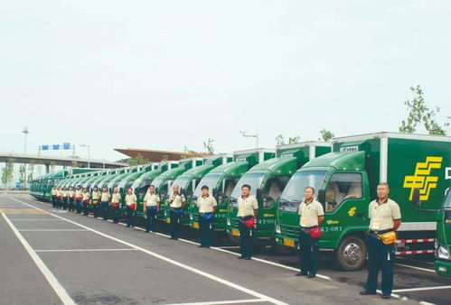 农村市场加速发展 有力支撑国内大循环