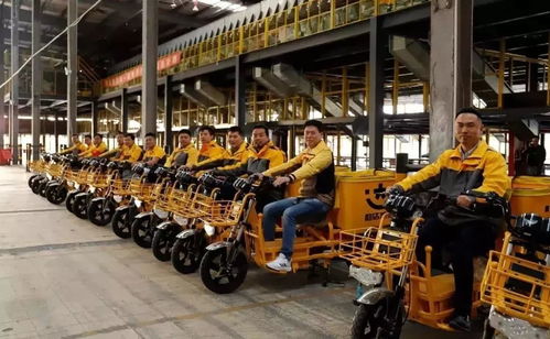 极兔速递狂奔 背后与拼多多有着何种关系 极兔速递狂奔 背后与拼多多有着何种关系