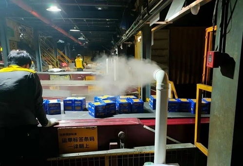 上海同城快递哪家好