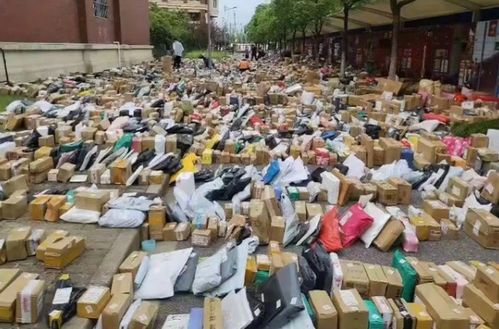 物流报约稿 从快递拒收冰皮月饼看冷链快递