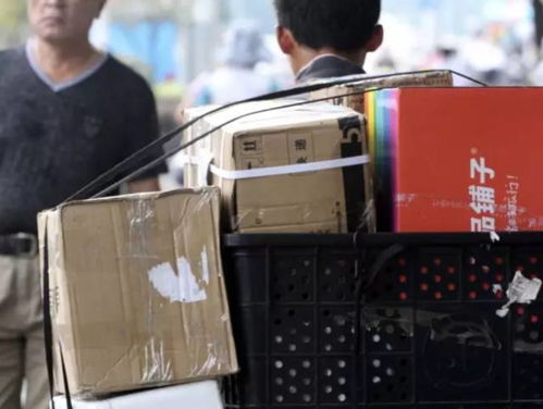 国内跨省域物流企业联盟成立