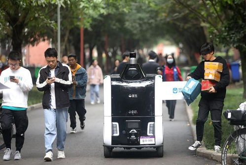 南岛物流服务质量如何 体验与评价如何