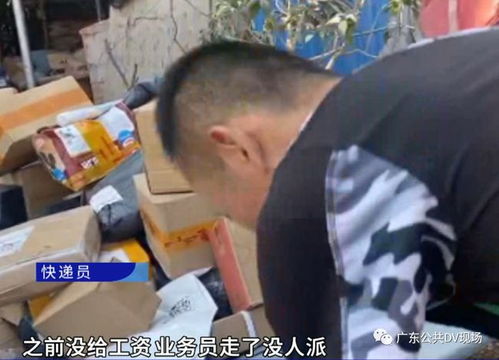 输入手机号就可以查快递单号