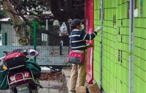 <b>淄川圆通快递在哪里 快递服务细节如何</b>