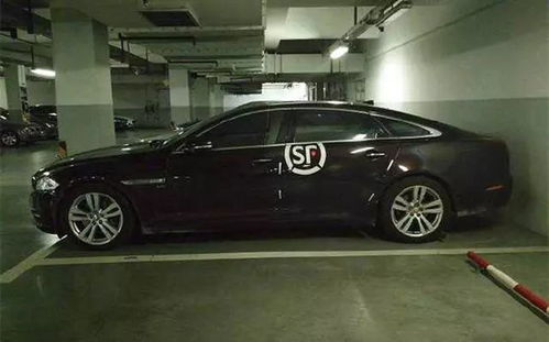 天天快递到底有多慢