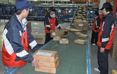 加强农产品物流节点基地建设 解决山货出山难 加强农产品物流节点基地建设 解决山货出山难