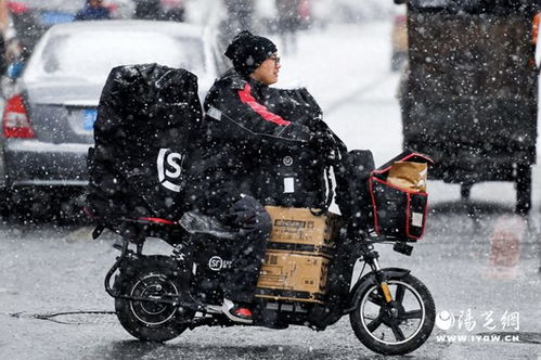 男版杨幂 男版杨幂走红网络