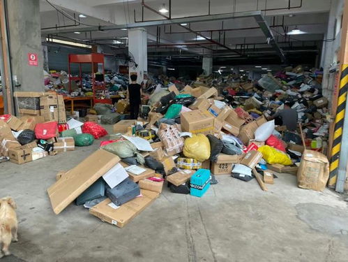 快速查申通快递单号，物流信息实时掌握