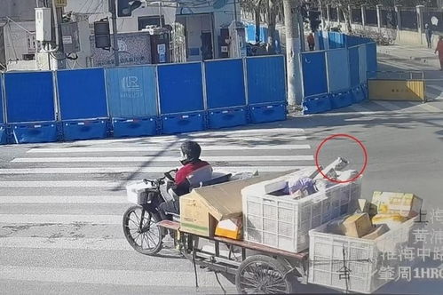 退货的物流单号怎么填