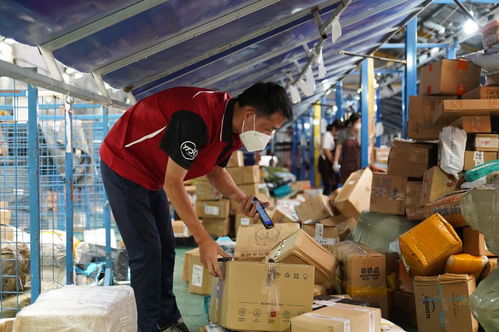 湖南物流专线如何保障货物安全与高效运输