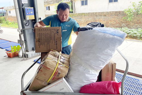 十万个为什么在线阅读