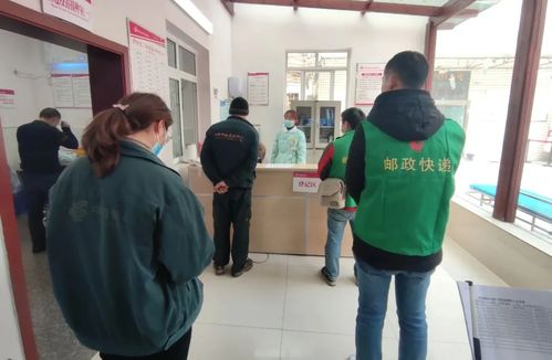 顺丰标快递单号怎么查看