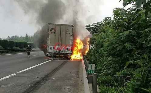 2025天猫双十一预售规则 2025天猫双十一预售规则