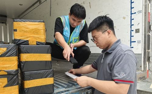 八一物流誉满全球免费全本