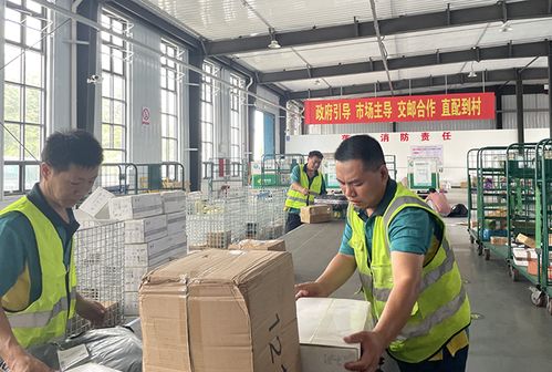 打造高端国际食品物流港