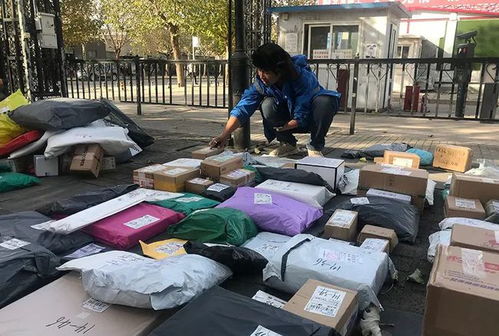 河南物流职业学院2025年单招简章