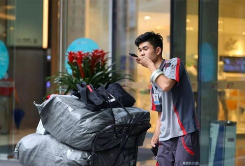 爱查快递单号查询中国邮政 爱查快递单号查询中国邮政