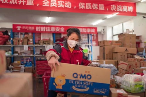 函速达快递单号查询