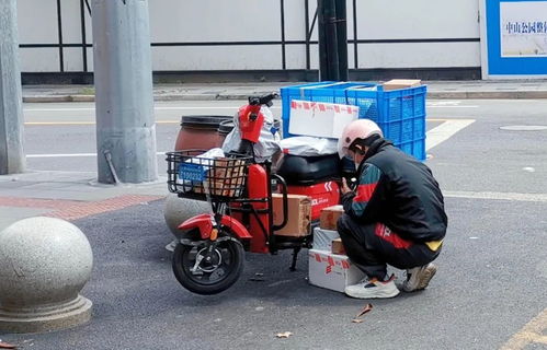 电商商家举步维艰 邮政顺丰快递迅速出手