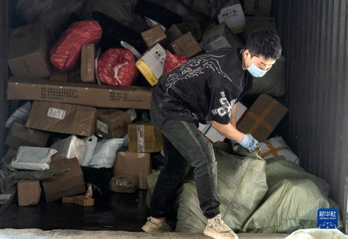 新疆北部的物流园将采用冷链物流模式配送农产