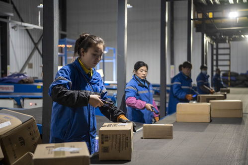 日本邮局单号查询ems