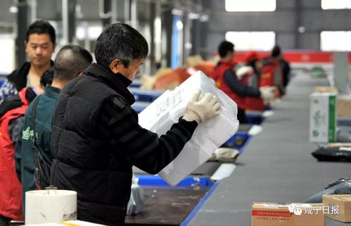 武威现代物流业发展驶入快车道