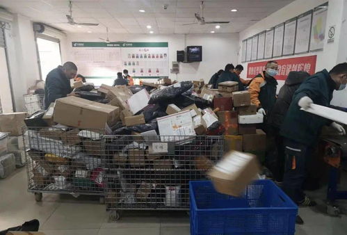 斗破苍穹2真人版第二部