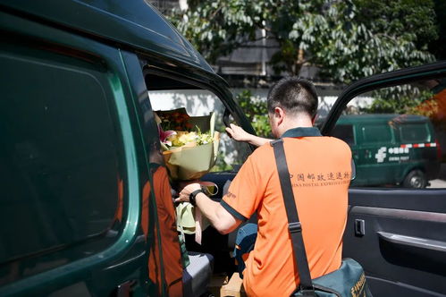 怎样在电脑上面打印申通快递面单 怎样在电脑上面打印申通快递面单