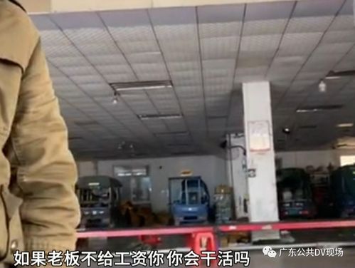 如何轻松查询圆通快递订单号 如何轻松查询圆通快递订单号