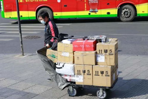 出口埃及需要注意哪些规定