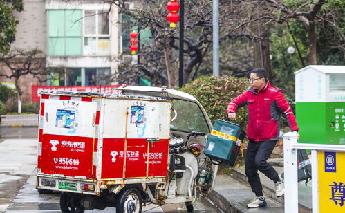 寄快递怎么查快递单号