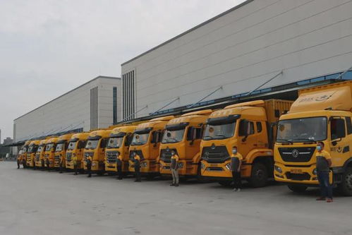 陆毅和鲍蕾是什么星座