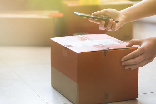 维运网海运货物查询