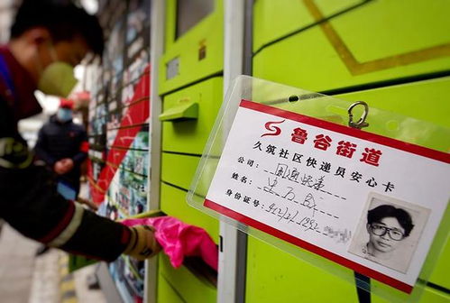 重庆市构建多式联运国际物流体系