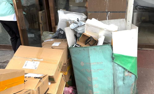 银杏社区 银杏社区属于哪个街道办事处