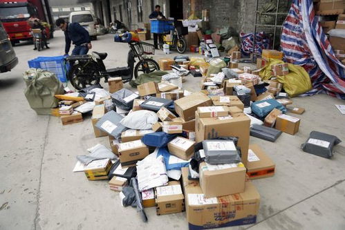 双11将至 物流迎大考 绿色物流成主基调