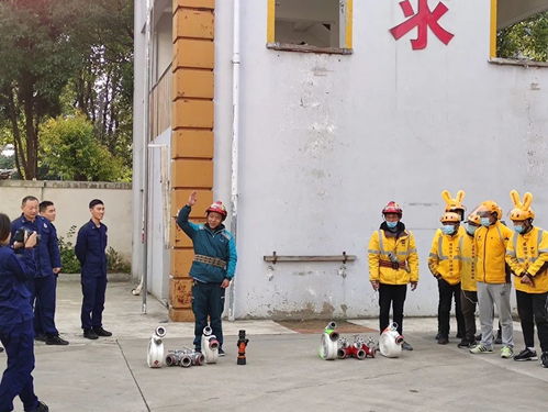 人外有人人外有人 天外有天